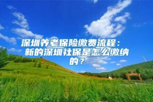 深圳养老保险缴费流程： 新的深圳社保是怎么缴纳的？