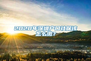 2020年深圳户口社保该怎么缴？