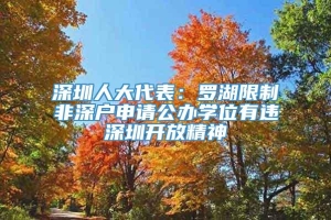深圳人大代表：罗湖限制非深户申请公办学位有违深圳开放精神