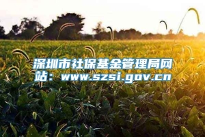 深圳市社保基金管理局网站：www.szsi.gov.cn
