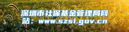 深圳市社保基金管理局网站：www.szsi.gov.cn