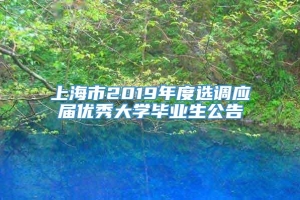 上海市2019年度选调应届优秀大学毕业生公告