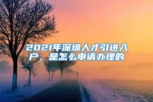 2021年深圳人才引进入户，是怎么申请办理的