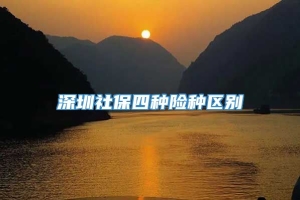 深圳社保四种险种区别