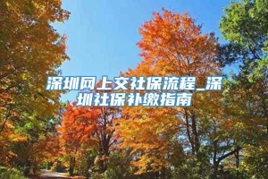 深圳网上交社保流程_深圳社保补缴指南