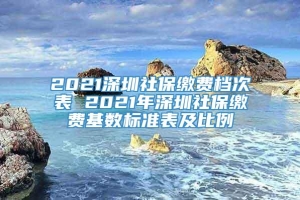 2021深圳社保缴费档次表 2021年深圳社保缴费基数标准表及比例