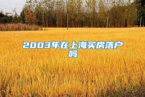 2003年在上海买房落户吗