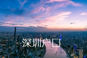 2022年深圳市在职人才引进呈报表调出单位意见