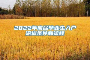 2022年应届毕业生入户深圳条件和流程