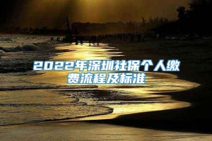 2022年深圳社保个人缴费流程及标准