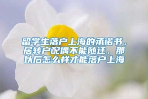 留学生落户上海的承诺书，居转户配偶不能随迁，那以后怎么样才能落户上海