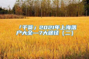 「干货」2021年上海落户大全—7大途径（二）