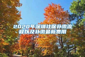 2020年深圳社保补缴流程以及补缴最新费用