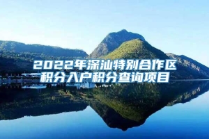 2022年深汕特别合作区积分入户积分查询项目