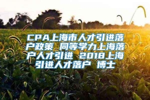 CPA上海市人才引进落户政策 同等学力上海落户人才引进 2018上海引进人才落户 博士