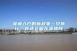深圳入户的新政策一旦执行，你还会留在深圳吗