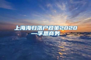 上海海归落户政策2020—孚恩商务