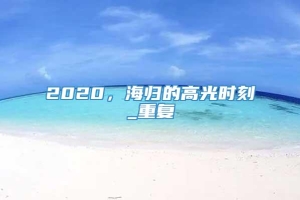 2020，海归的高光时刻_重复