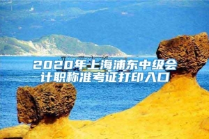 2020年上海浦东中级会计职称准考证打印入口