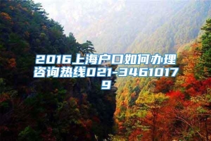 2016上海户口如何办理咨询热线021-34610179