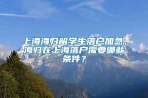 上海海归留学生落户加急，海归在上海落户需要哪些条件？