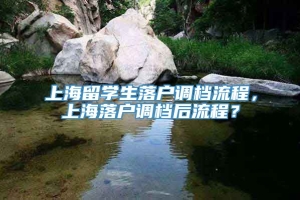 上海留学生落户调档流程，上海落户调档后流程？