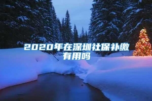2020年在深圳社保补缴有用吗