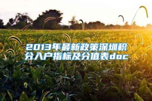 2013年最新政策深圳积分入户指标及分值表doc