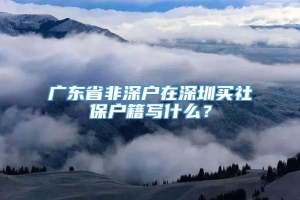 广东省非深户在深圳买社保户籍写什么？