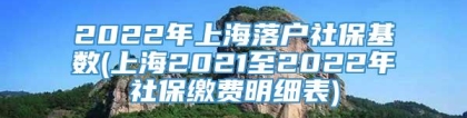 2022年上海落户社保基数(上海2021至2022年社保缴费明细表)