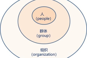 带你了解清华经管『领导力与组织管理』博士项目