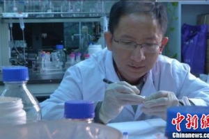 安徽将启动国家科学中心引进海外人才百人计划