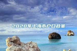2020年上海市户口政策