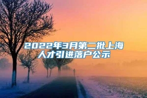 2022年3月第二批上海人才引进落户公示