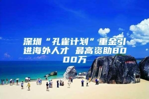 深圳“孔雀计划”重金引进海外人才 最高资助8000万