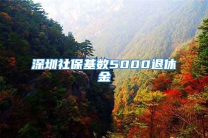 深圳社保基数5000退休金