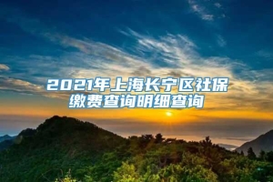2021年上海长宁区社保缴费查询明细查询