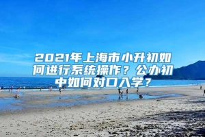 2021年上海市小升初如何进行系统操作？公办初中如何对口入学？