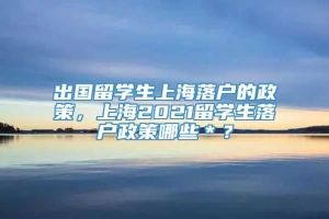 出国留学生上海落户的政策，上海2021留学生落户政策哪些＊？