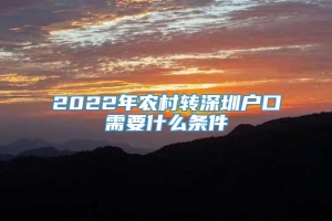 2022年农村转深圳户口需要什么条件