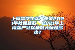 上海留学生落户政策2021年社保基数，2021年上海落户社保基数大概是多少？