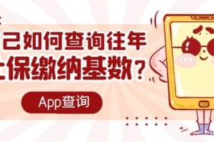 留学生落户上海：如何网上查询自己缴纳社保基数？