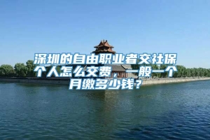 深圳的自由职业者交社保个人怎么交费，一般一个月缴多少钱？