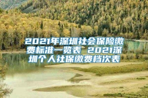 2021年深圳社会保险缴费标准一览表 2021深圳个人社保缴费档次表