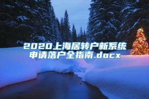 2020上海居转户新系统申请落户全指南.docx