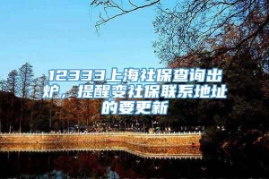 12333上海社保查询出炉，提醒变社保联系地址的要更新