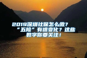 2019深圳社保怎么缴？“五险”有啥变化？这些数字你要关注！