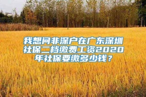 我想问非深户在广东深圳社保二档缴费工资2020年社保要缴多少钱？