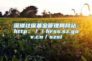 深圳社保基金管理局网站：http：／／hrss.sz.gov.cn／szsi