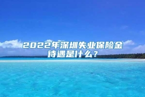 2022年深圳失业保险金待遇是什么？